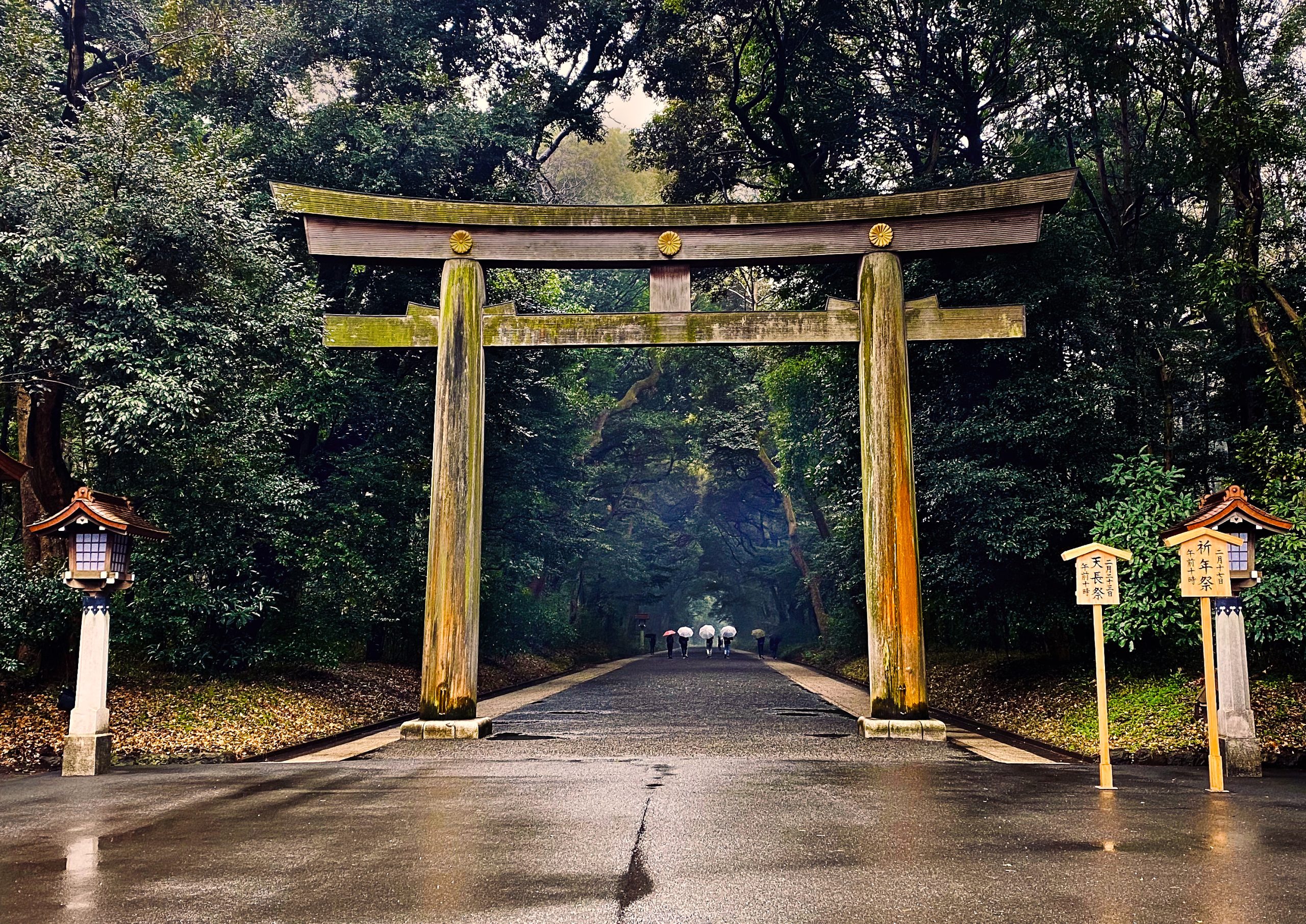010HOADE_TOKYO