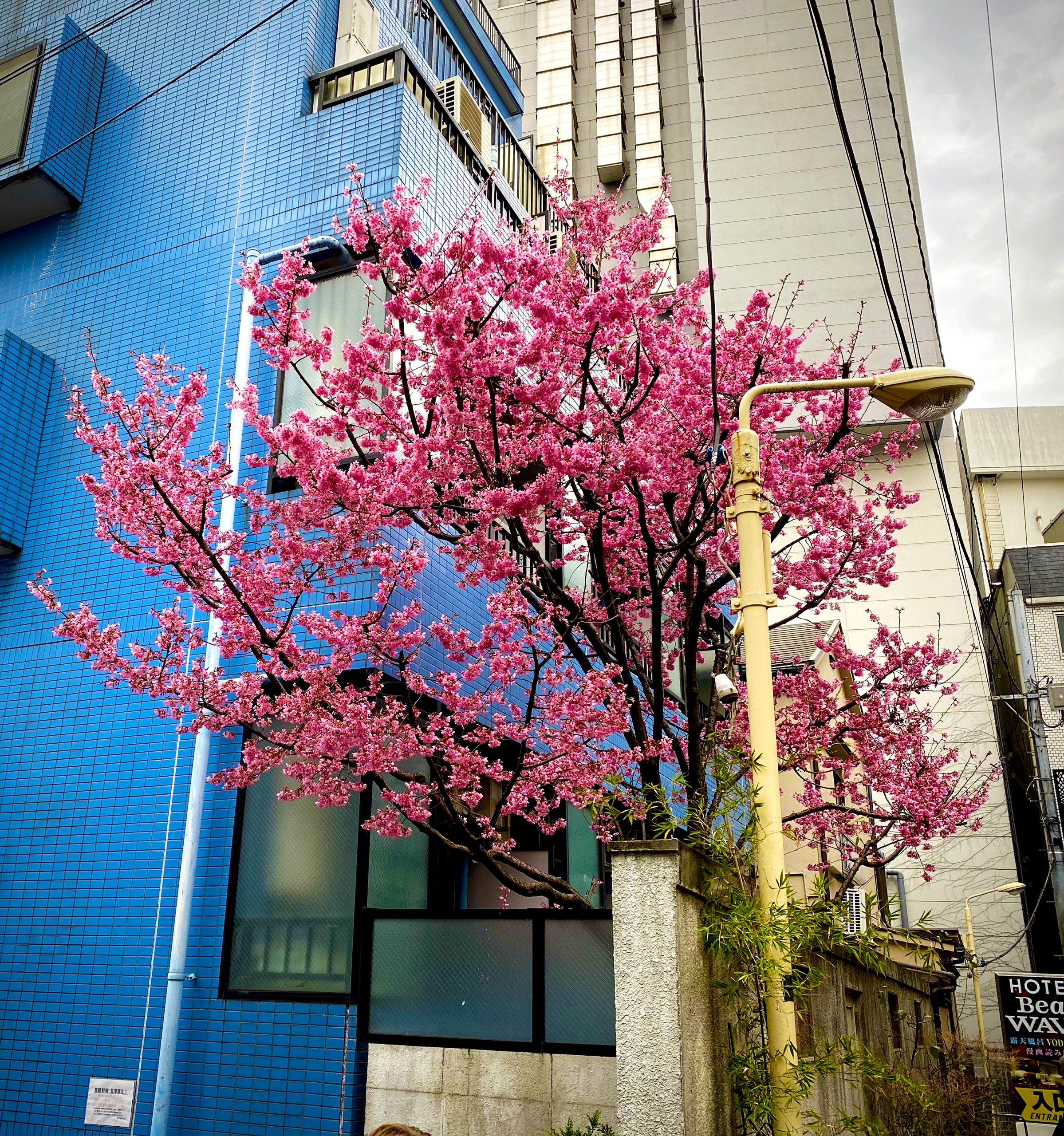 03HOADE_TOKYO